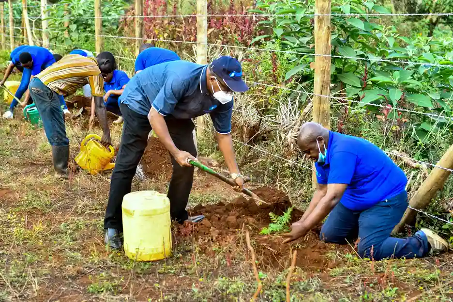 Broadcom staff participating in a Tree Planting exercise.