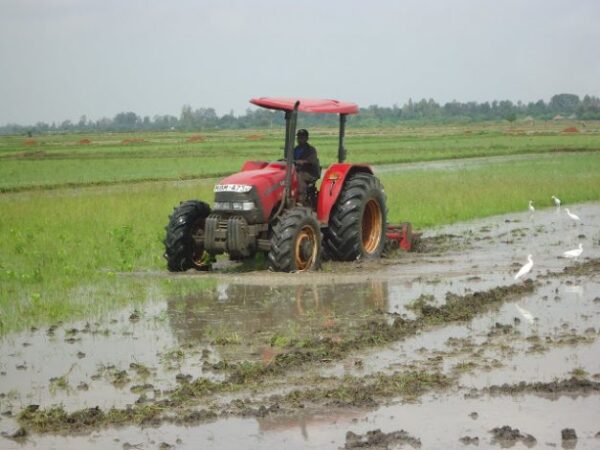 Tractor in Budalangi, Busia County Headline: “Addressing Agricultural Challenges in Kenya: A Path to Economic Growth