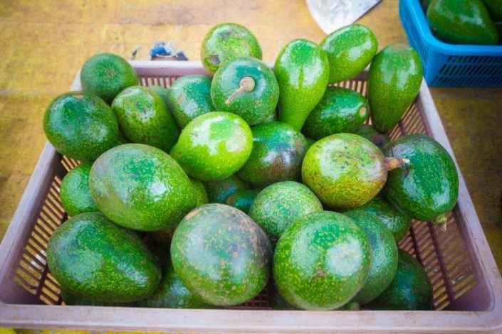 The Kenya Trade Network Agency (KenTrade) has announced plans to simplify trade procedures for Avocado and Fish in the current financial year 21/22 in a bid to lower administrative burden costs for traders.