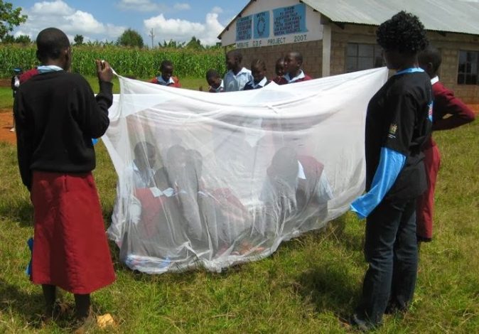 Shool children being taught how to spread a mosquito net as one way to prevent malaria