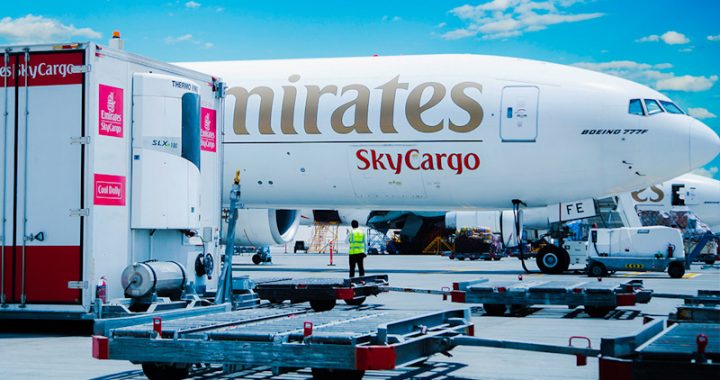 Kenya had suspended all inbound and transit passenger flights from the United Arabs Emirates (UAE) on January 10 in retaliation against a move by Dubai to ban all passenger flights from Kenya over fake Covid-19 tests.
