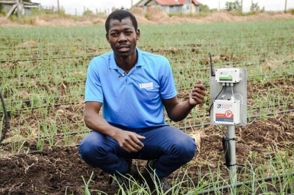Twiga Foods to Improve Operations and Increase Production through Smart Farming
