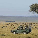 Accor Hotels Expands in East Africa, Opens Mantis Property in Maasai Mara