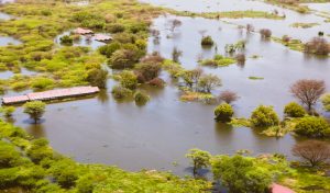 Houses submerged due to the rising waters of Lake Baringo in the Great Rift Valley due to the effects of climate Change.