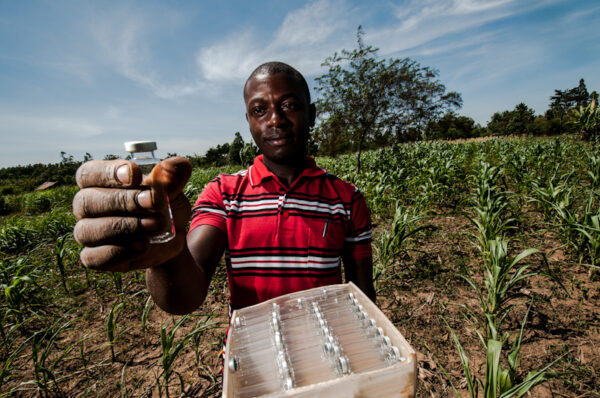 Climate-smart soils: testing soil health in Western Kenya. PHOTO | ©2016CIAT/GeorginaSmith