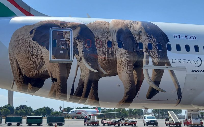 Kenya Airways (KQ) has entered into a partnership with the Kenya Tourism Board to brand planes with images of wildlife to promote Kenya as a tourist destination.