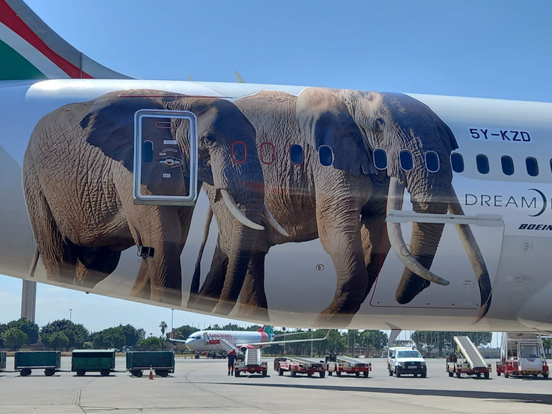 Kenya Airways (KQ) has entered into a partnership with the Kenya Tourism Board to brand planes with images of wildlife to promote Kenya as a tourist destination.