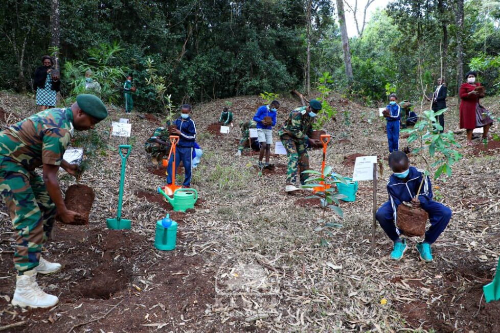 Pupils from Karura Forest Primary were yesterday elated to join the Chief Conservator of Forests Mr Julius Kamau in planting trees at Karura forest to number his age. 20/10/2021. PHOTO KFS.