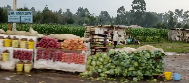 A grocery market in Nakuru is selling vegetables, onions, tomatoes and cabbages which have led to high cost of food in Kenya inflation.