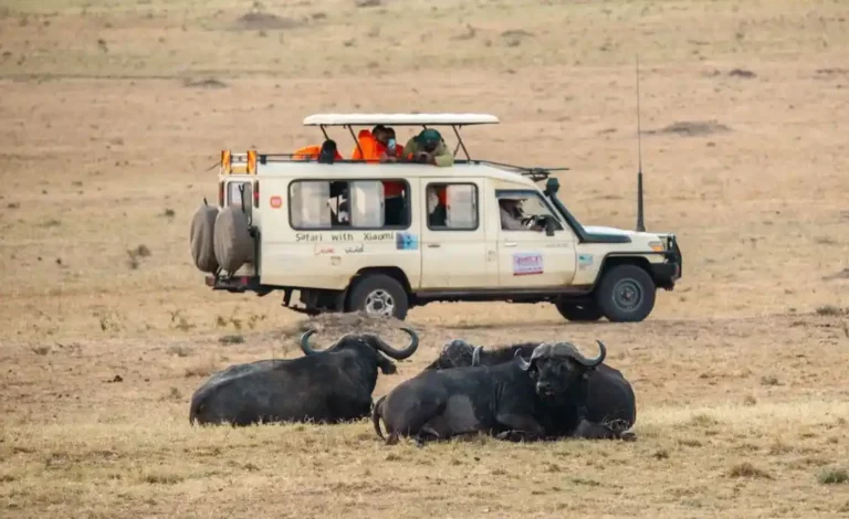 The campaign promised the Xiaomi fans winners a 3-day trip to Maasai Mara, one of the most famous wildlife destinations in the world.
