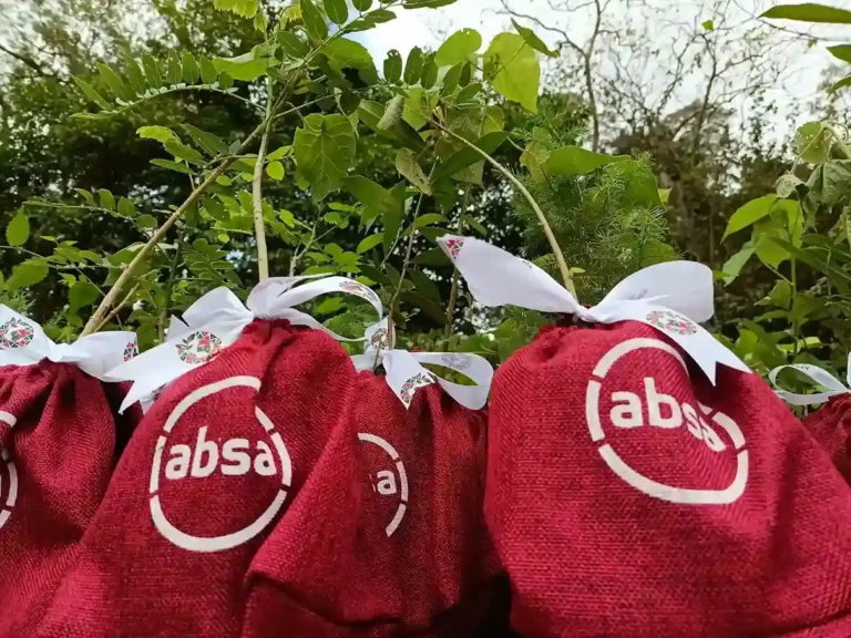 ABSA Bank Kenya tree seedlings. The bank has committed to increasing biodiversity and encouraging environmental responsibility through planting trees