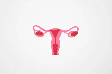 Graphic Art of a Woman's Ovary. May 8th: No Woman Left Behind in the Fight Against Ovarian Cancer
