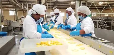 Workers inside the Delmonte Kenya biofertilizer plant that will turn the company’s pineapple residues into biofertilizers.