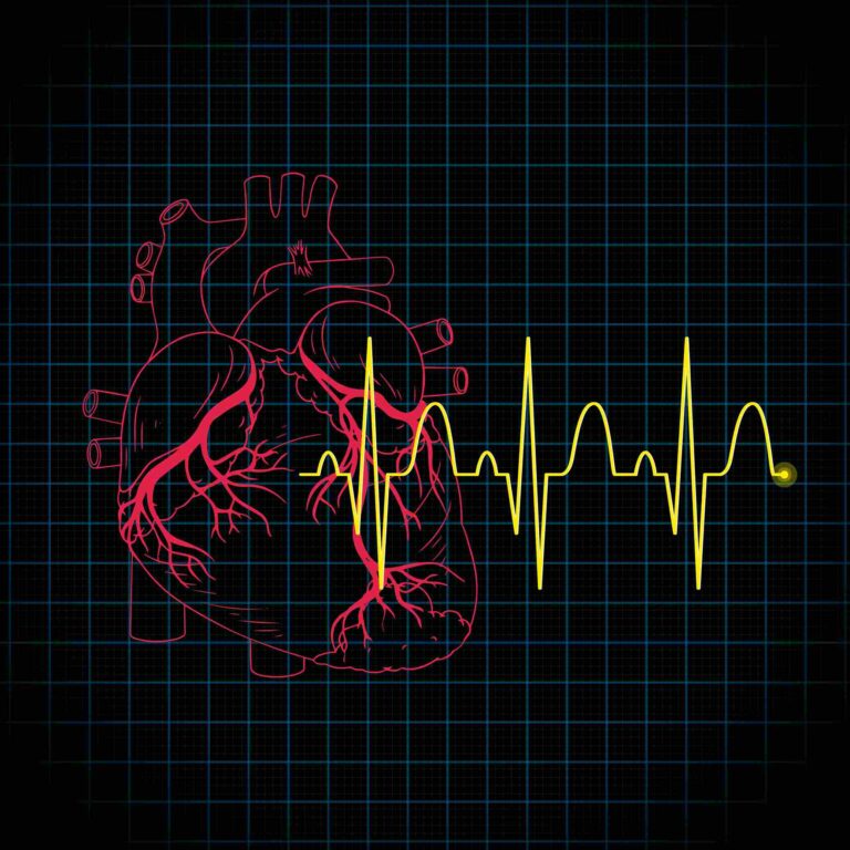 Stylized human heart with ECG trace showing cardiac electrical activity