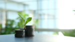 A small green plant sprouting from a stack of silver coins against a plain background, symbolising financial growth and investment returns