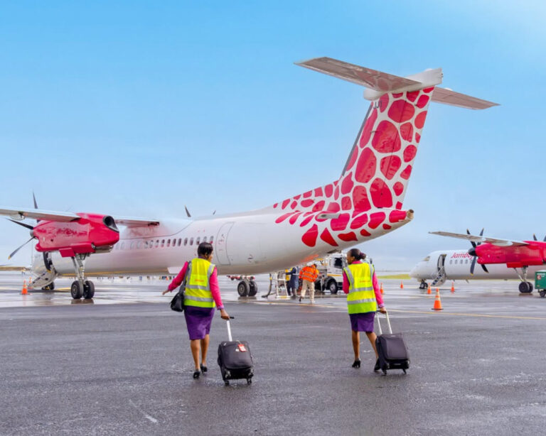 Jambojet cabin crew walk across the tarmac toward two Jambojet aircraft with giraffe and leopard print tails