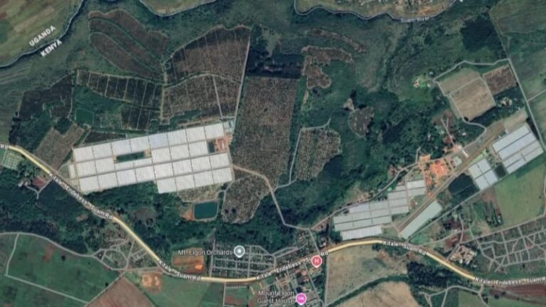 ADC Receives Proposal From Mt Elgon Orchards For Avocado And Berry Project Satellite map of Mt Elgon Orchards showing the Suam River and Kenya Uganda border